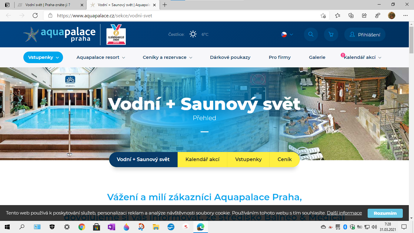 Snimek obrazovky 2021-03-31 072841